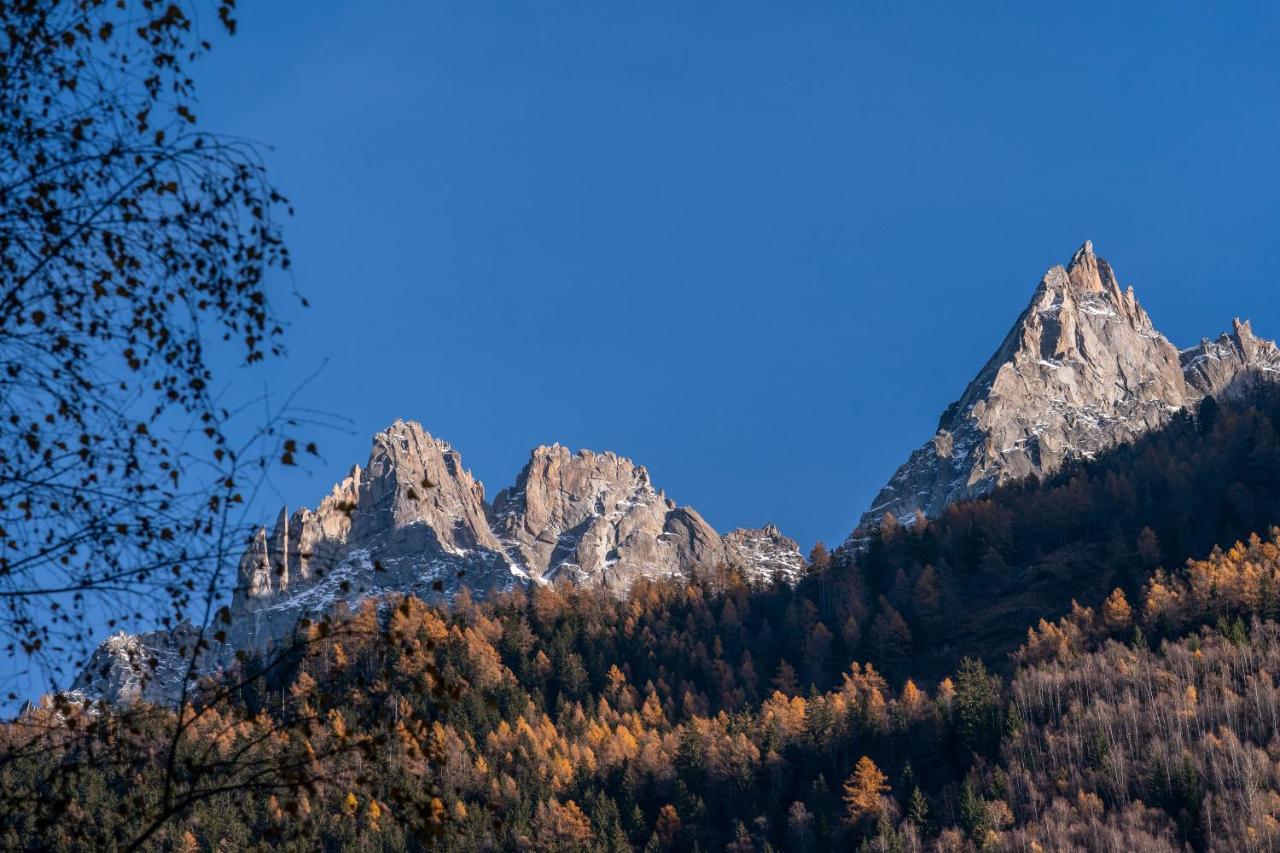 شقة Chamois Blanc Terrasse - A Chamonix Haven Near Aiguille Du Midi المظهر الخارجي الصورة